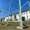 „HORST“ - EIN NEUER BEWOHNER IN DREBA